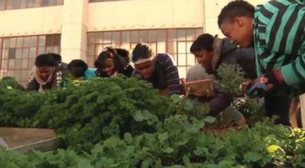 woms gardening